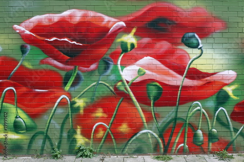 Fototapeta na wymiar Mohnblumenwiese, Graffiti auf Ziegelwand