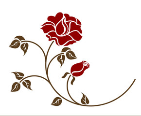 red roses on the white backgroud.