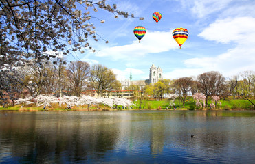 The Cherry Blossom Festival in New Jersey