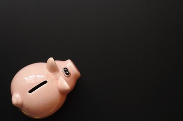 Wall Mural - piggy bank