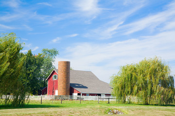 Wall Mural - Farm