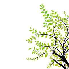 Wall Mural - tree branch vector - green and natural floral design element