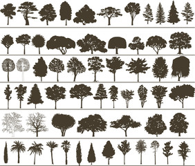 vector trees