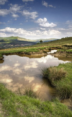 spring landscape with water