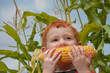 © sdenness - Young boy eating fresh corn
