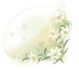 Fototapeta Kwiaty - Floral Frame
