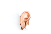 Woman Ear