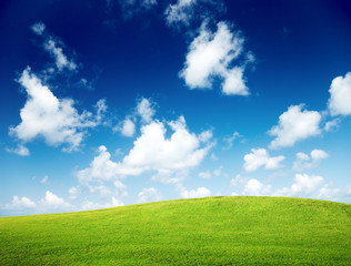 green field and blue sky