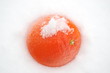 Pomarańcza na śniegu