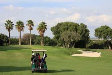 Wall Mural - Golf Buggy