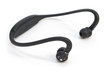 Stereo bluetooth headphones isolated