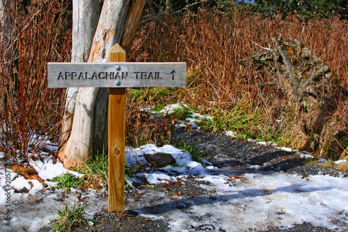 Fotomural appalachian trail in Great Smoky Mountains, USA