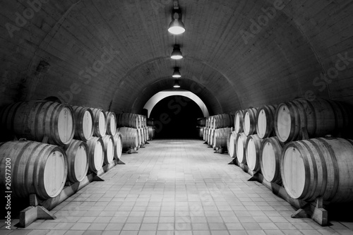 Cuadros en Lienzo Weinkeller, Bodega, Albariño, Rías Baixas, Galizien, España