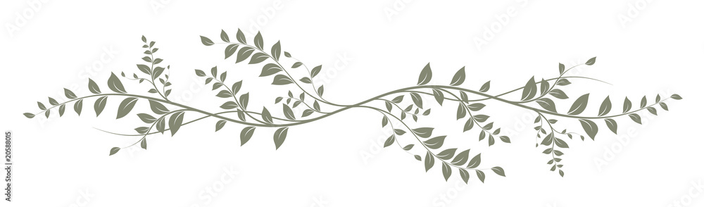 Obraz green decorative element on white background - decoration fototapeta, plakat