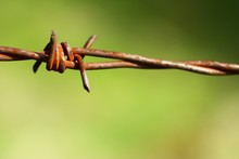 Close-up Of Old Rusty Twisted Barbed Wire.