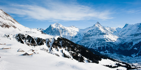 Wall Mural - Panorama above Grindelwald in Winter