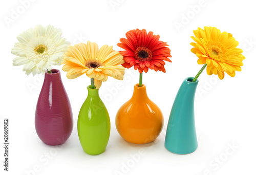 Naklejka - mata magnetyczna na lodówkę Flowers in vases isolated on white background