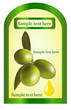 Label for a product with green olive oil