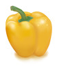 Photo-realistic vector illustration of yellow sweet pepper