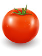 Photo-realistic vector illustration of the red tomato.
