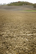 Clay soil field