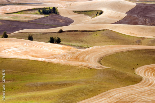 Tapeta ścienna Palouse hills pola upraw w czasie żniw, stan washington
