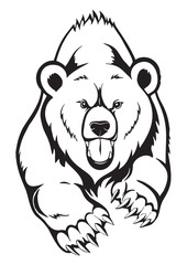 brown bear grizzly. vector