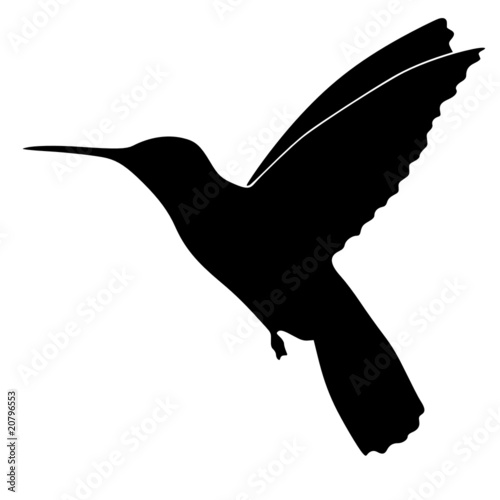 Fotoboard na płycie Colibri