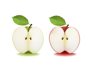 Two sliced apples. Vector illustration.