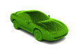 Ecologic green car with grass surface
