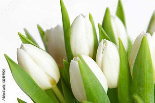 Dekoracja na wymiar  biale-tulipany
