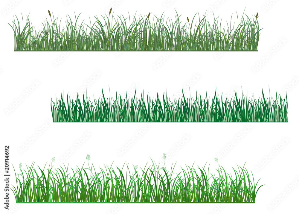 Green grass patterns - obrazy, fototapety, plakaty 