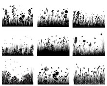 Meadow Silhouettes
