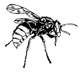 bee