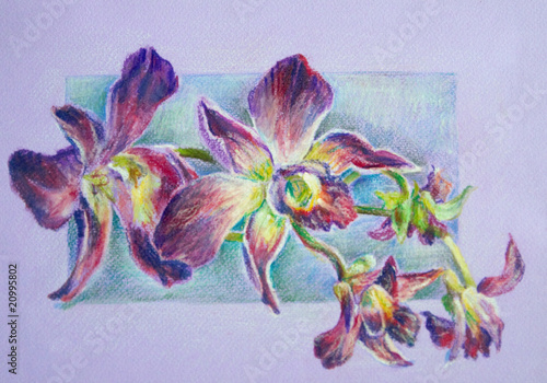 fioletowe-rysunkowe-kwiaty-na-geometrycznym-tle