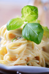 Poster - Spaghetti with cheese sauce