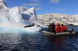 People in Dinghy are very close to very dangerous leopard seals