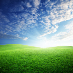 Wall Mural - field of grass and perfect sunset sky