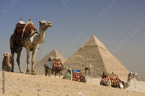 Obraz w ramie pyramids egypt