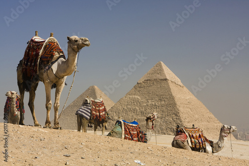 Tapeta ścienna na wymiar pyramids egypt