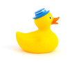 Rubber duckling