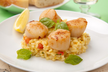 Scallops Risotto