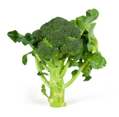 Broccolo 2