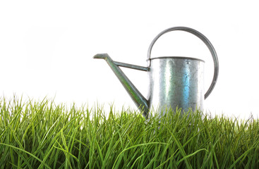 old watering can in grass with white