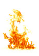 Fire flame isolated on white backgound..