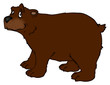 Bär, Wald, Grizzly, Braunbär, Teddy, Teddybär