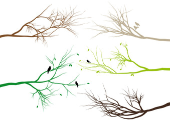 tree branches, vector