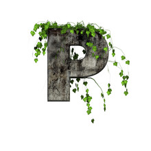Green Ivy On 3d Stone Letter
