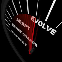 Evolve - Speedometer Tracks Progress Of Change