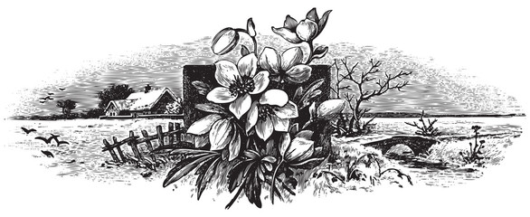 antique engraving (vector)